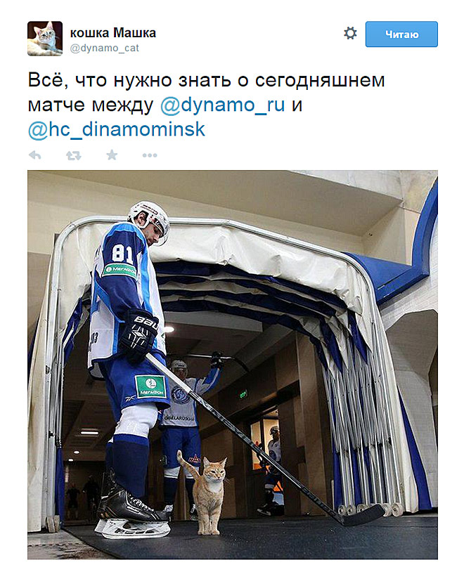 Понимающему достаточно Понимающему достаточно