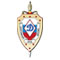 ВК "Динамо"