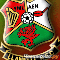 Лланелли