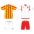 Игровая форма команды
Источник: www.colours-of-football.com
