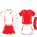Игровая форма команды
Источник: www.colours-of-football.com
