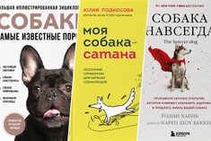 10 книг о собаках