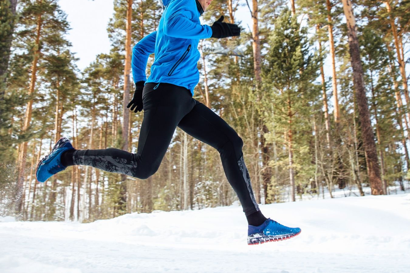 Backyard Ultra «Марий Форест RUN»