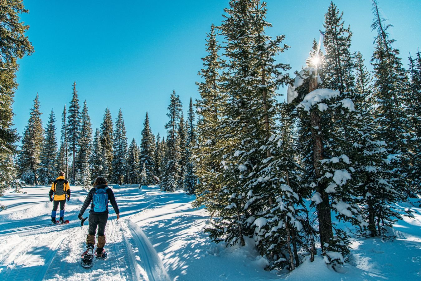 Лыжный марафон «Двигатель»
