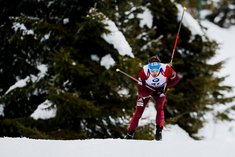 Антон Шипулин