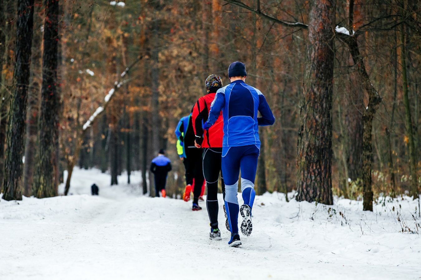Марафон «Дорога жизни»