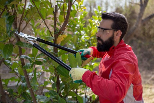 Правда ли, что неосвоенную дачу могут изъять через суд: разбор экспертов