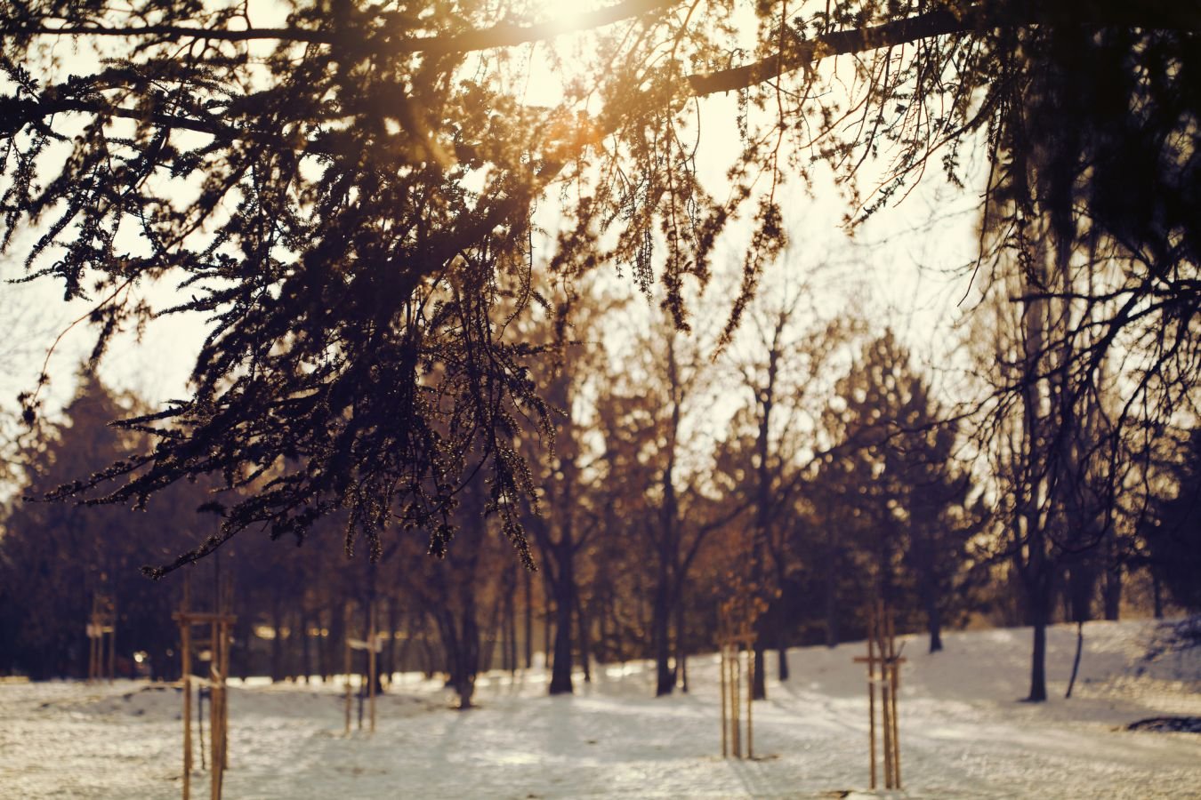 Когда в Москву вернётся тепло?