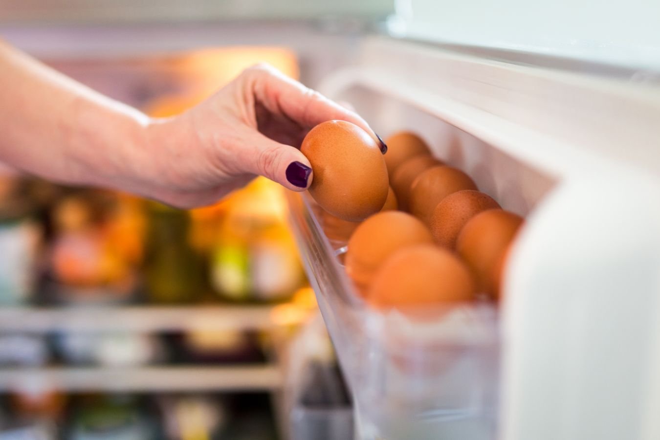 Где содержится много холестерина