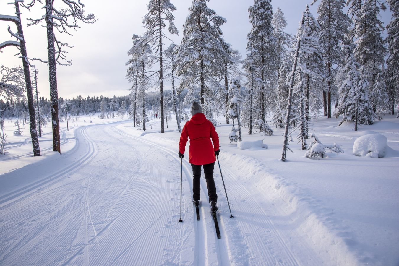 Лыжный марафон имени Александра Невского