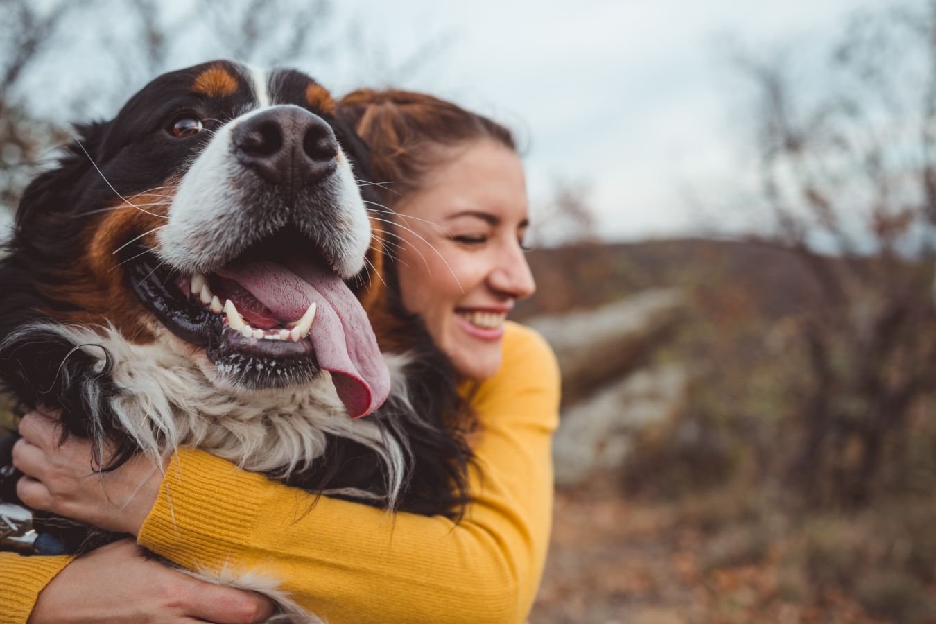 Породы собак с самой счастливой «улыбкой»