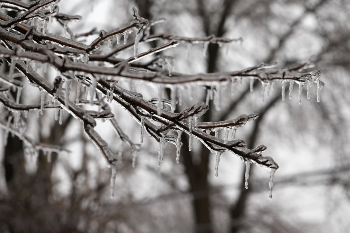 Синоптик предупредил о ледяных дождях