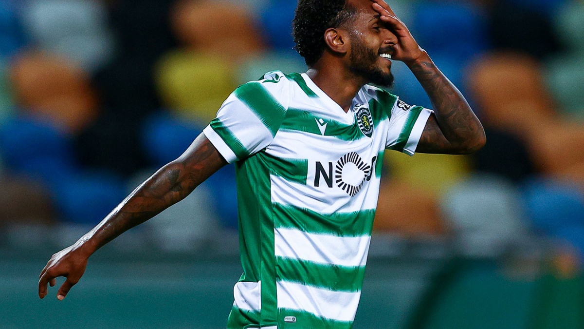 transfery rpl predstavlenie novichka