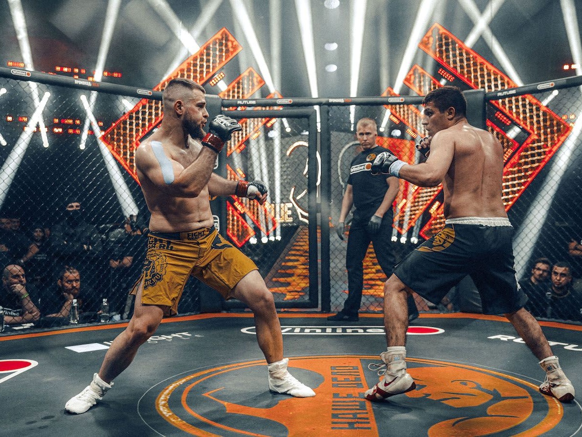 Возможные источники энергии для поддержания силы и устойчивости