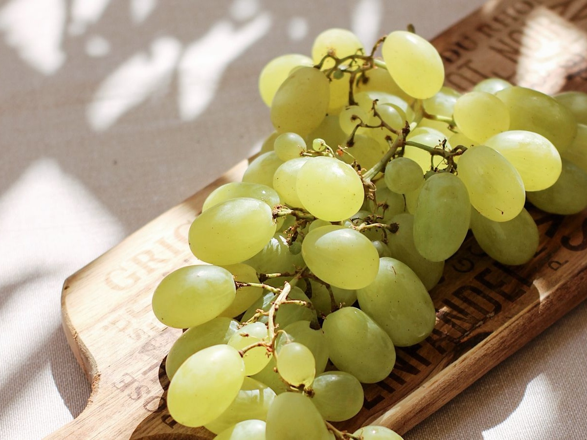 Послушная лоза — большие ягоды: когда обрезать виноград весной и зачем это делать