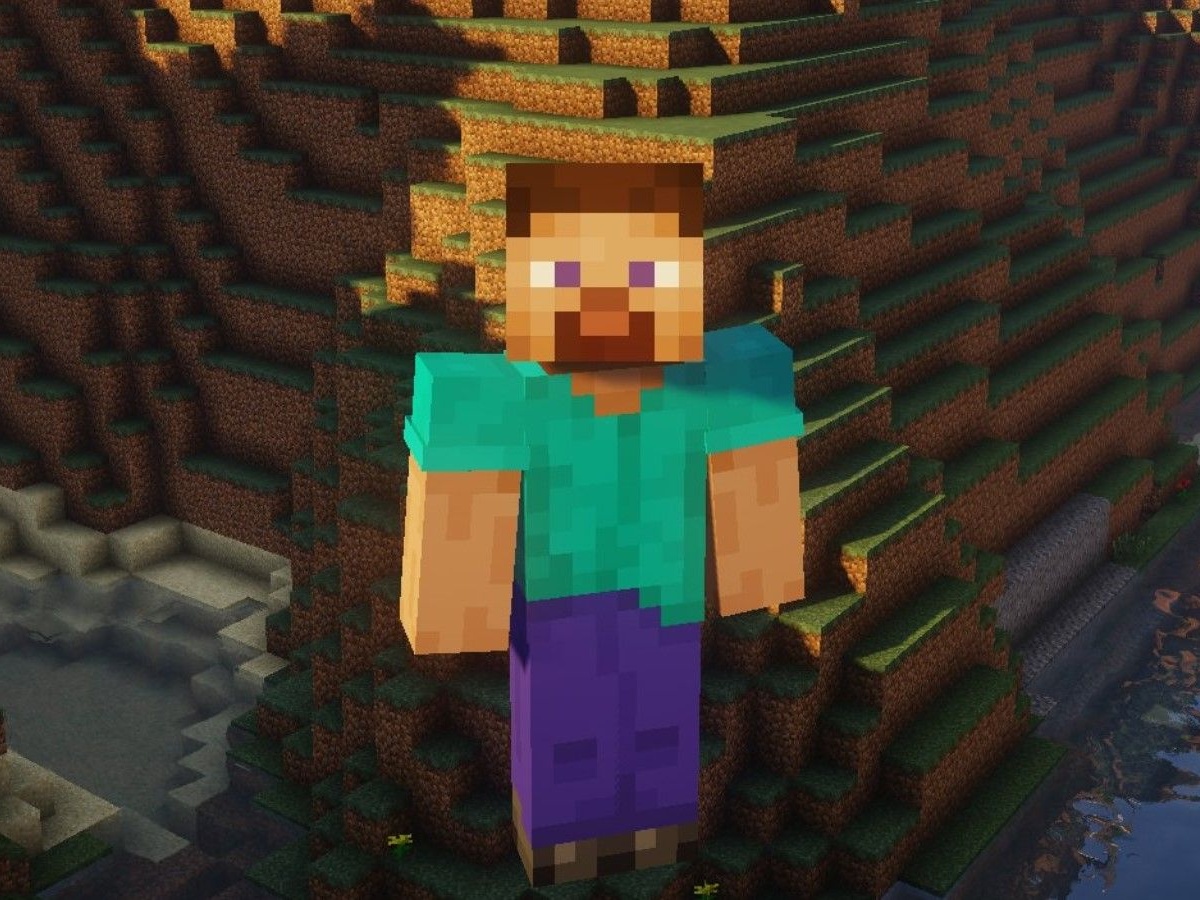 Спустя 13 лет главному герою Minecraft вернули бороду - Чемпионат