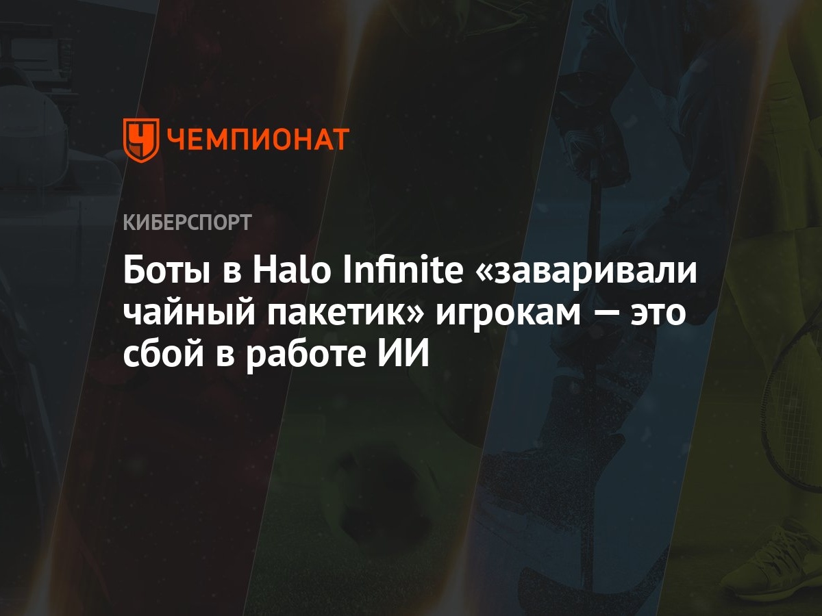 Боты в Halo Infinite «заваривали чайный пакетик» игрокам — это сбой в  работе ИИ - Чемпионат