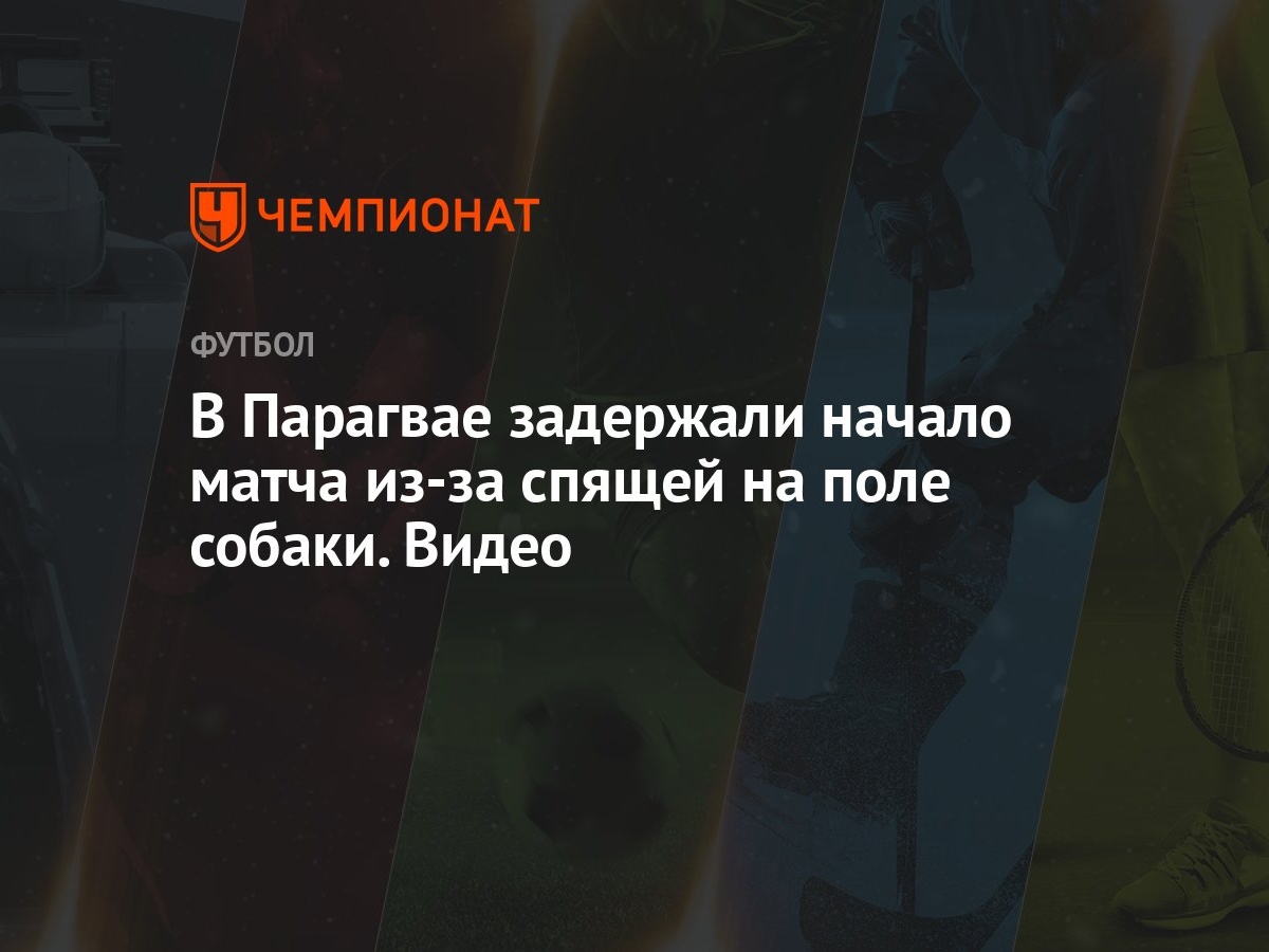 В Парагвае задержали начало матча из-за спящей на поле собаки. Видео