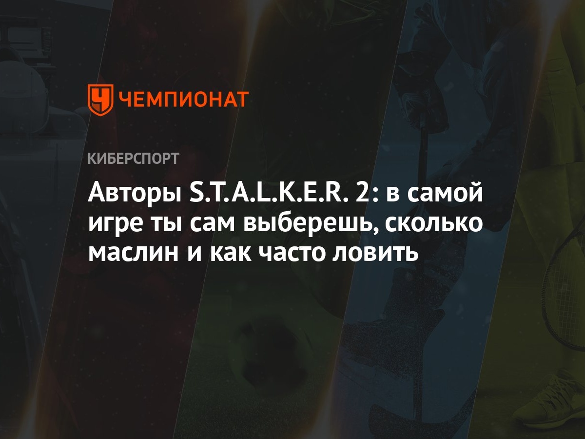 Авторы S.T.A.L.K.E.R. 2: в самой игре ты сам выберешь, сколько маслин и как  часто ловить - Чемпионат