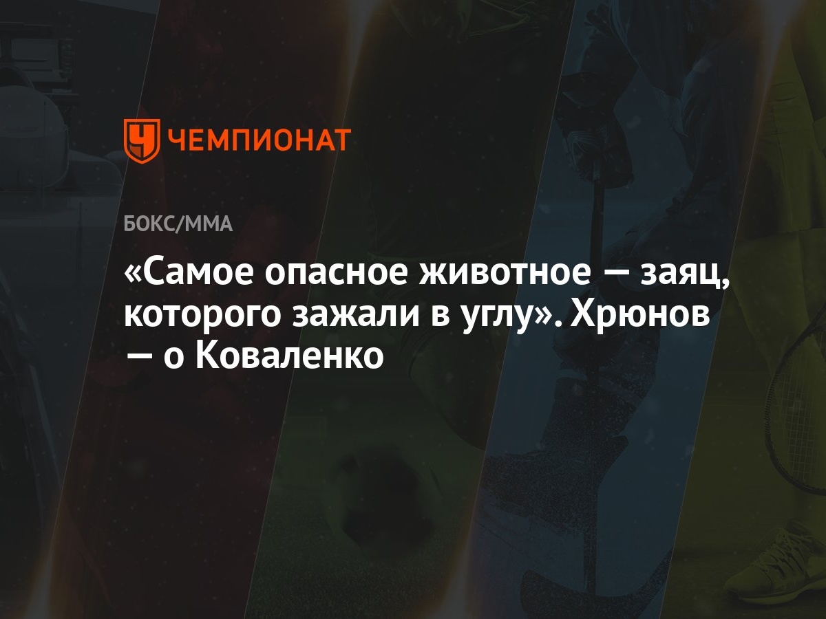 «Енота зажали в угол» — создано в Шедевруме