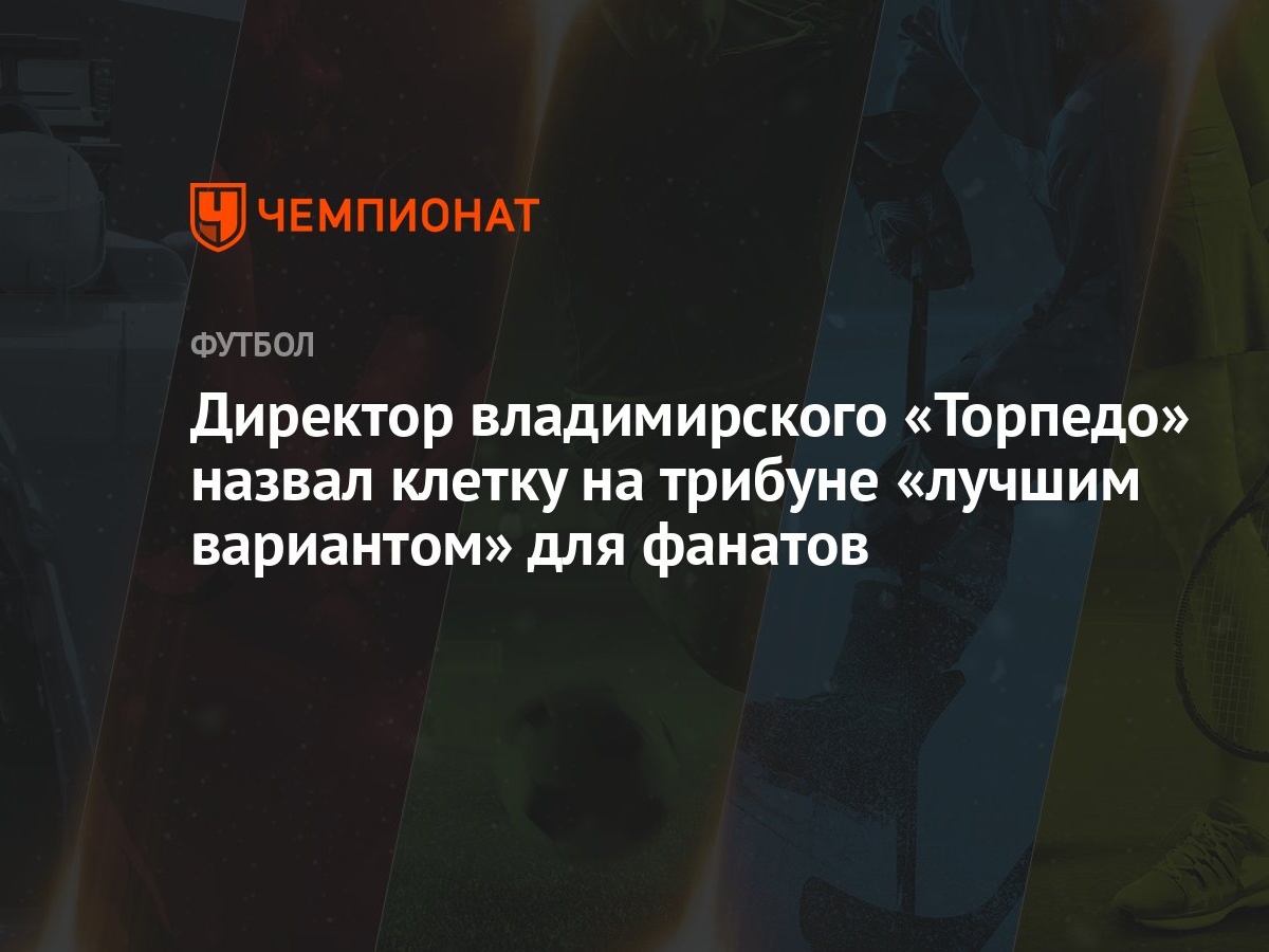 Директор владимирского «Торпедо» назвал клетку на трибуне «лучшим  вариантом» для фанатов - Чемпионат