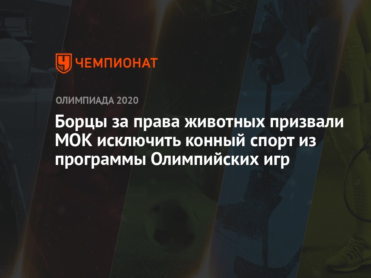 Борцы за права животных призвали МОК исключить конный спорт из программы  Олимпийских игр - Чемпионат