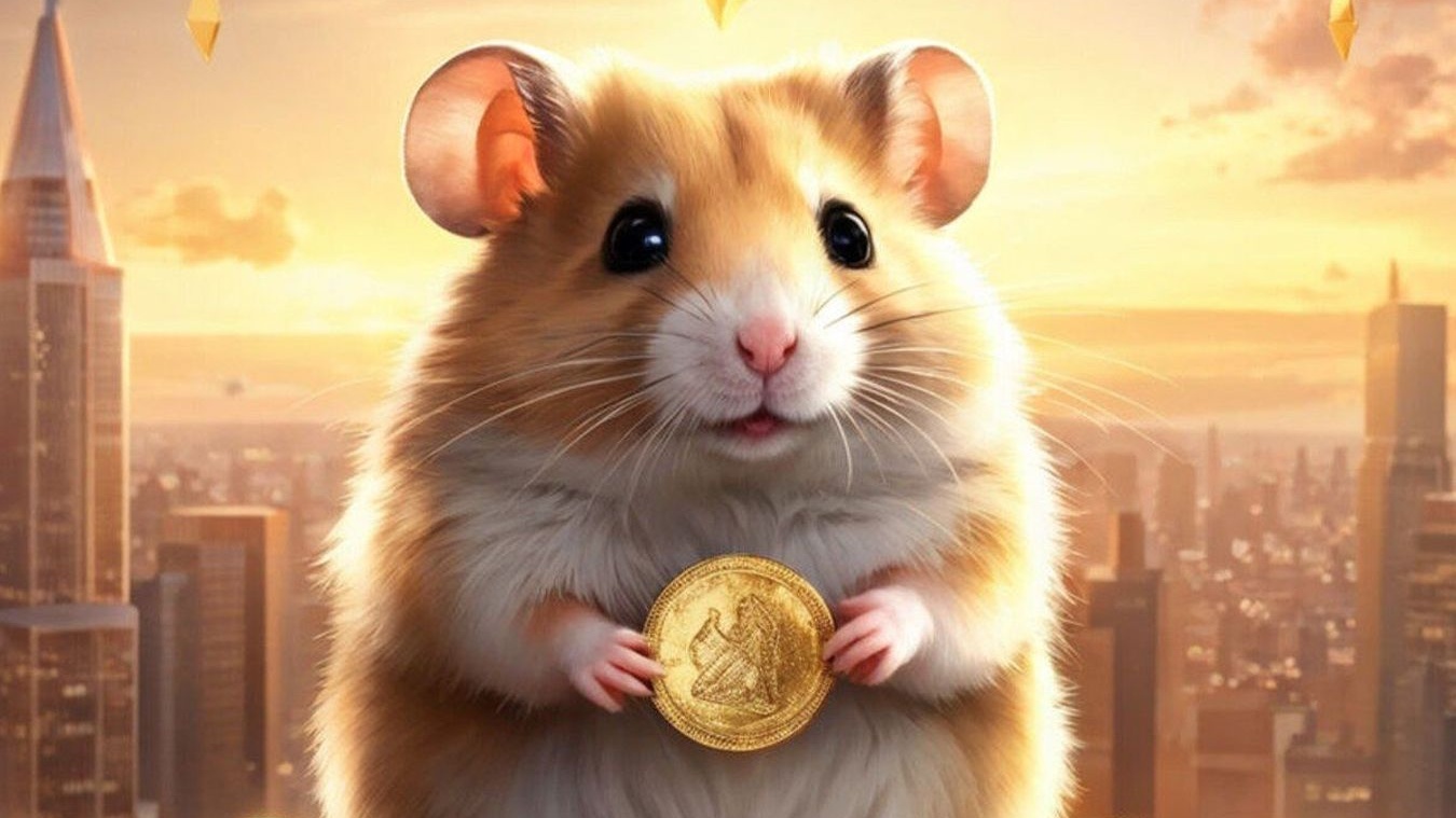 Новые комбо-карты в игре Hamster Kombat на 1-2 сентября: карточки для  хомяка - Чемпионат