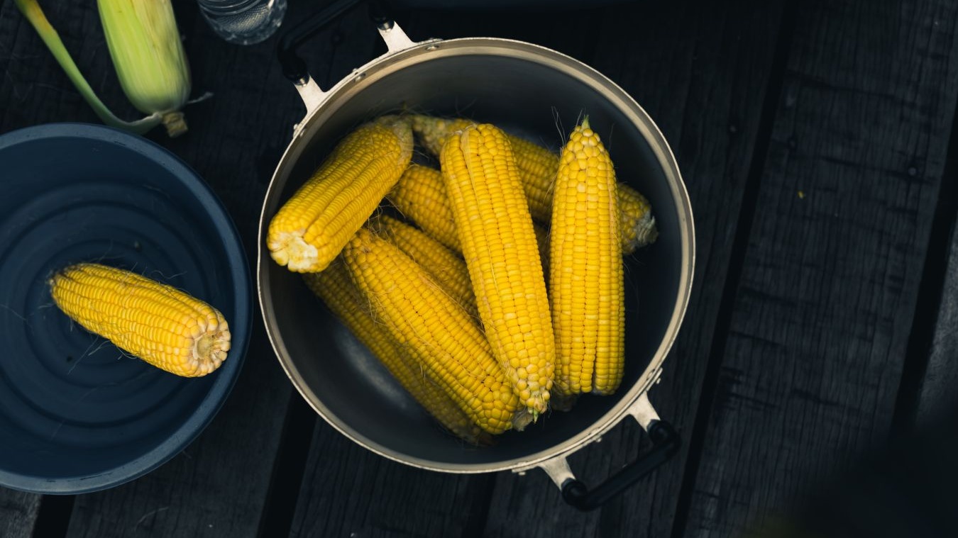 Сколько варить молодую кукурузу – пошаговый рецепт | Чудо-Повар
