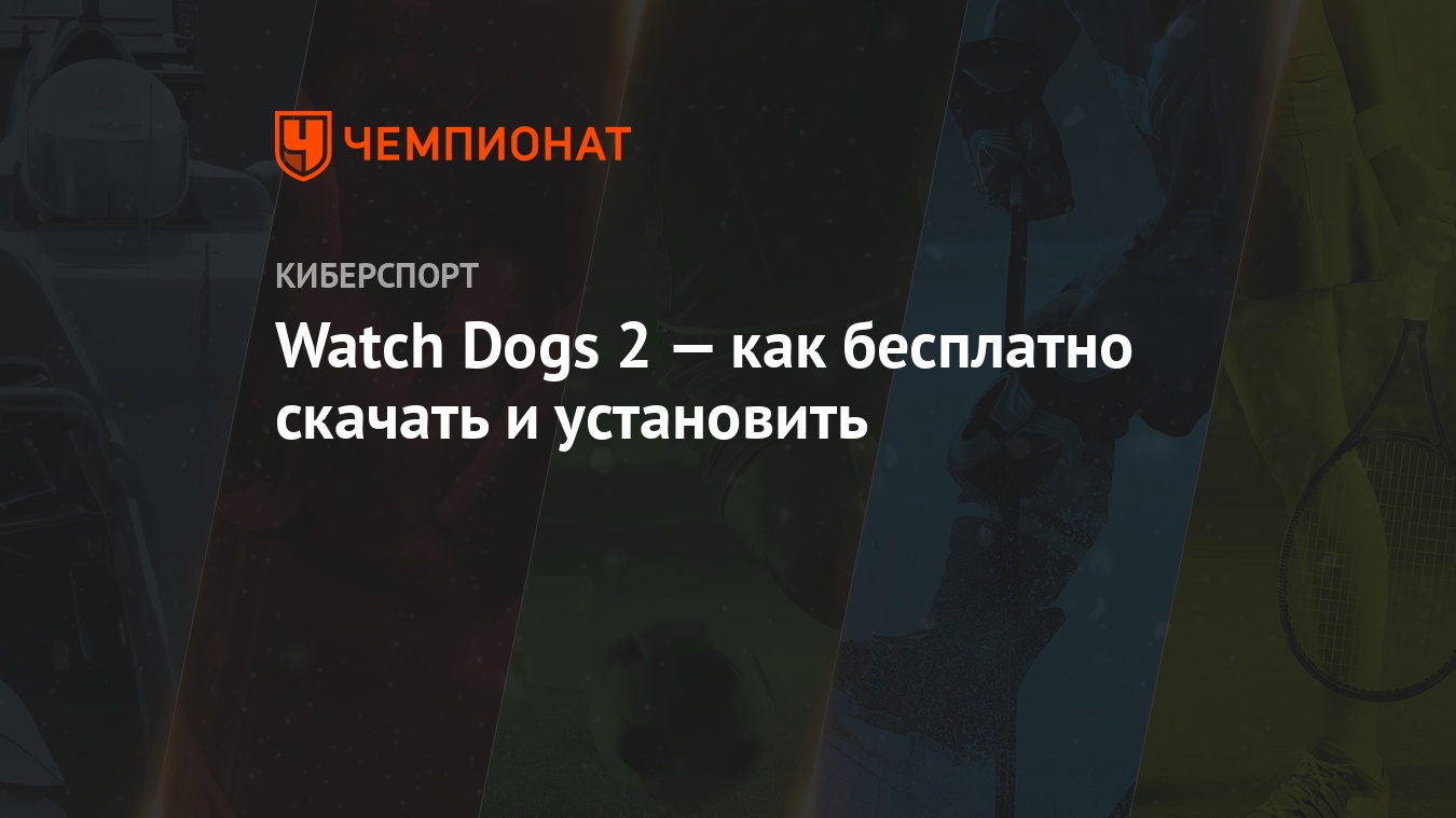 Watch Dogs 2 — как бесплатно скачать и установить - Чемпионат