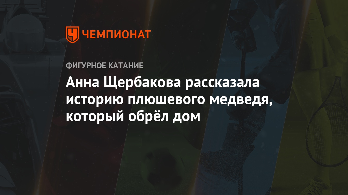 Анна Щербакова рассказала историю плюшевого медведя, который обрёл дом -  Чемпионат