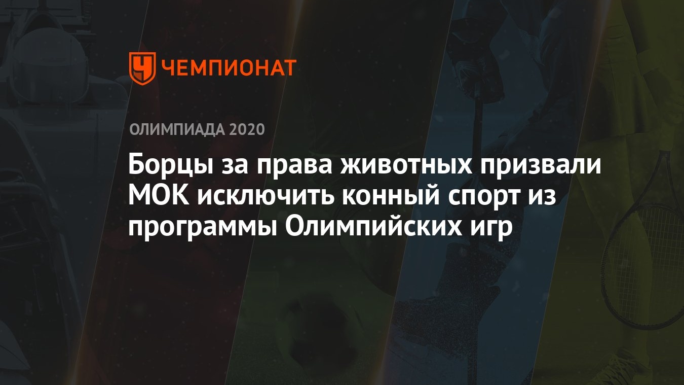 Борцы за права животных призвали МОК исключить конный спорт из программы  Олимпийских игр - Чемпионат