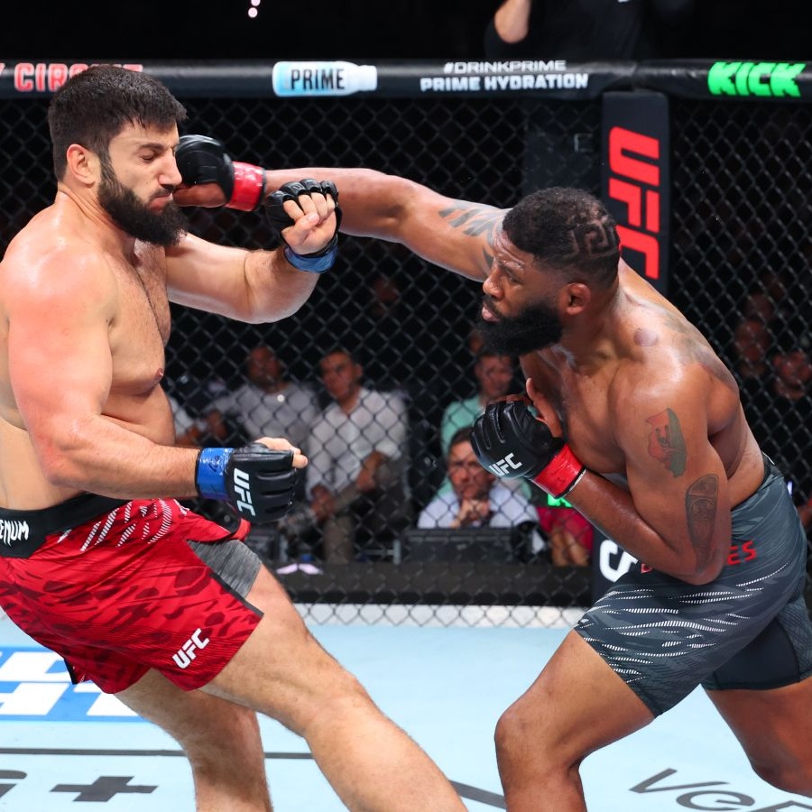 Том Хиддлстон және мысық