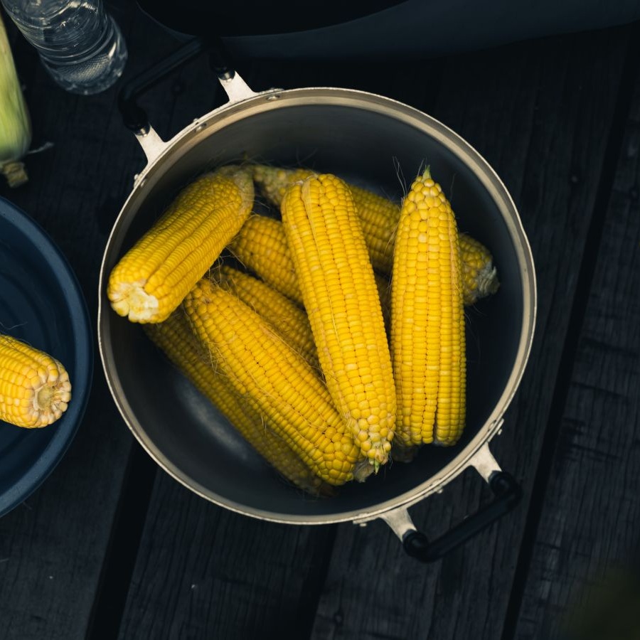 Идеи блюд с кукурузой, как ее варить и чем она полезна