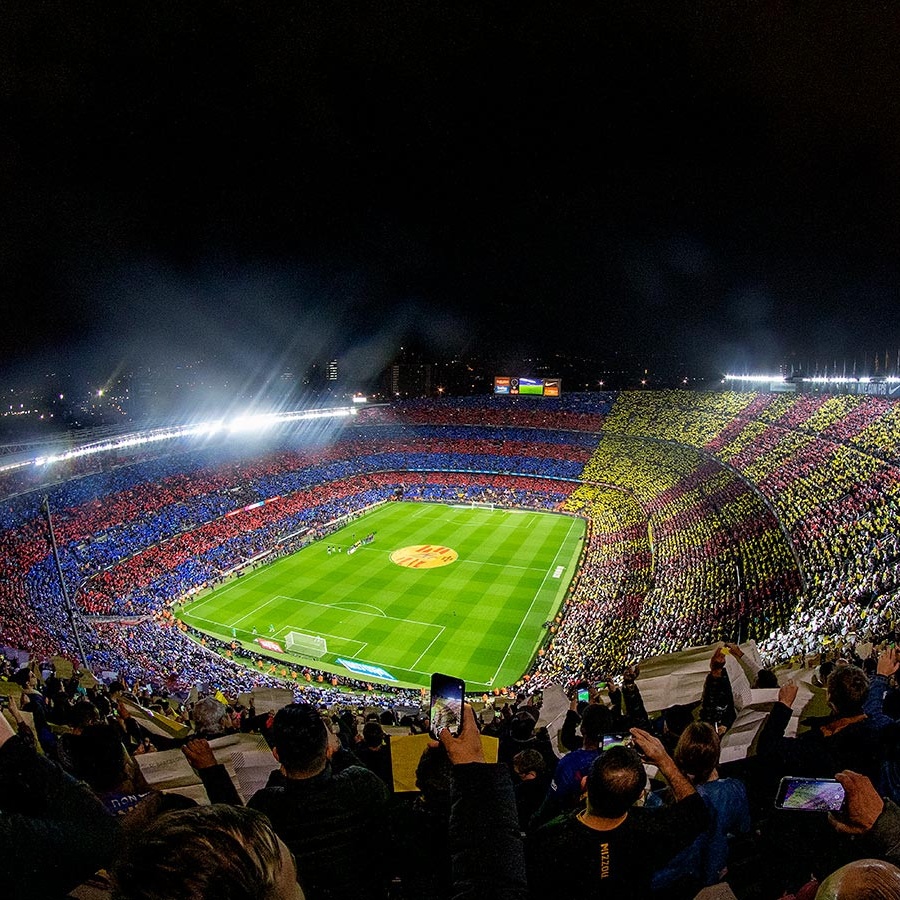 proizvoditel konopli gotov kupit