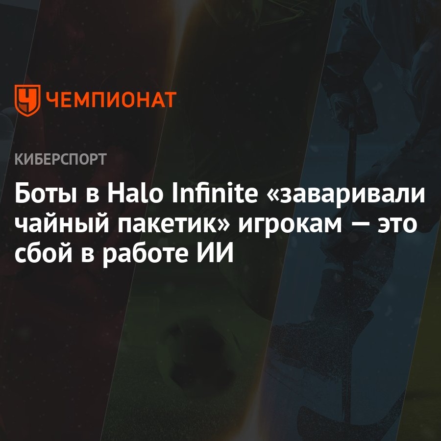 Боты в Halo Infinite «заваривали чайный пакетик» игрокам — это сбой в  работе ИИ - Чемпионат