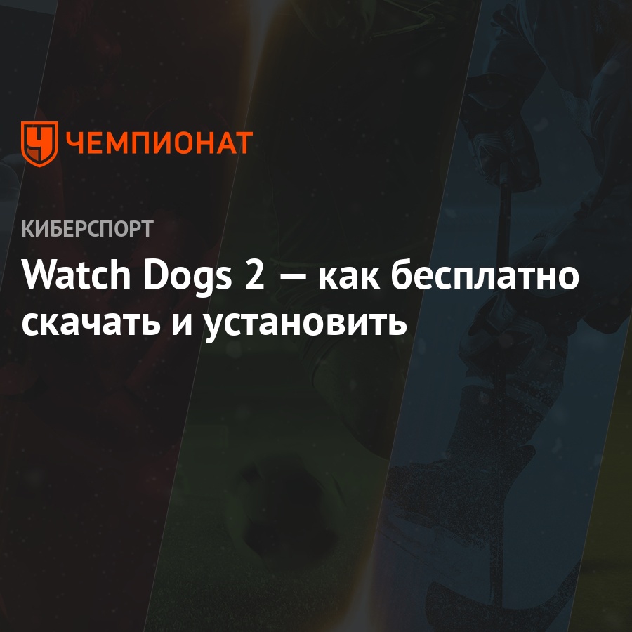 Watch Dogs 2 — как бесплатно скачать и установить - Чемпионат