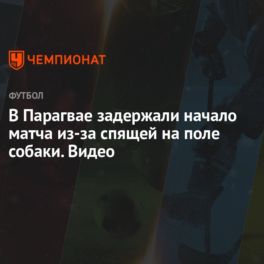 В Парагвае задержали начало матча из-за спящей на поле собаки. Видео