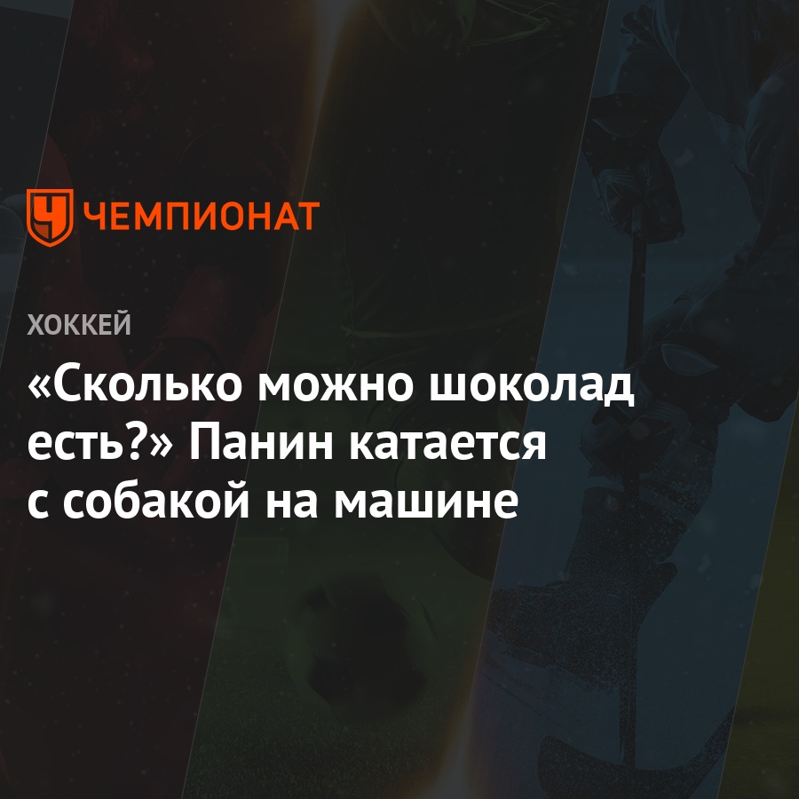 «Сколько можно шоколад есть?» Панин катается с собакой на машине