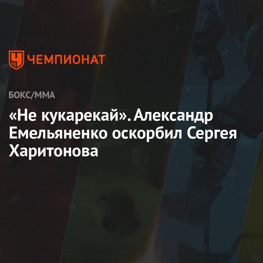 «Не кукарекай». Александр Емельяненко оскорбил Сергея Харитонова