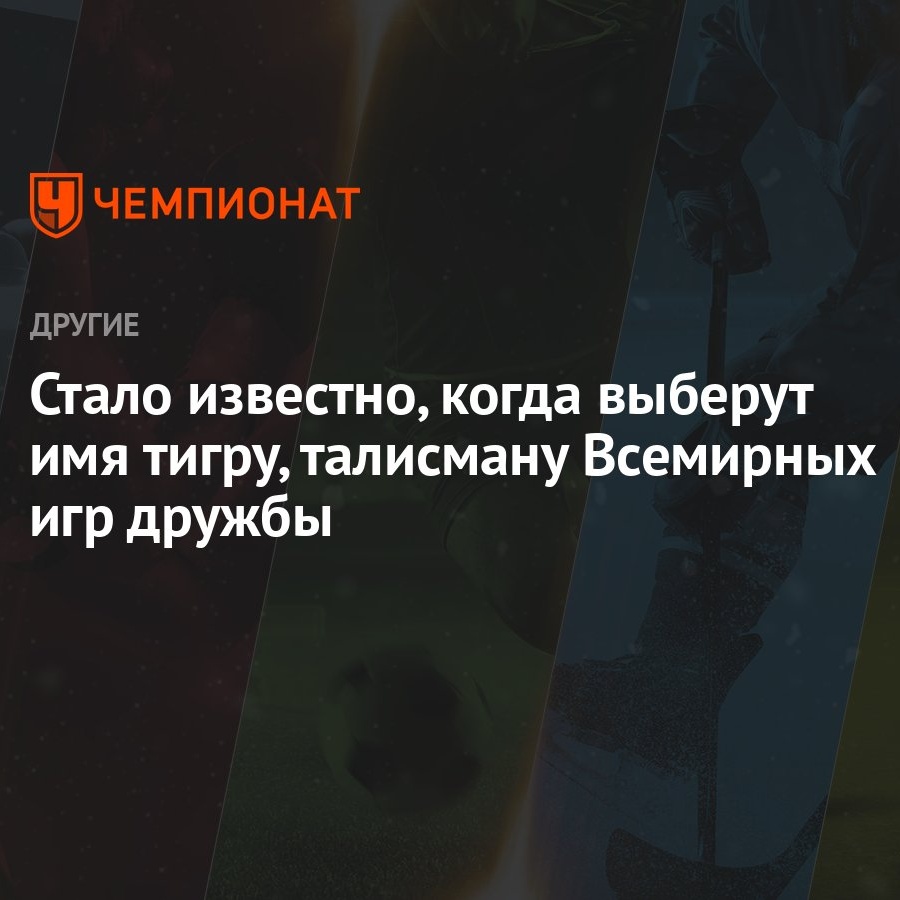 Стало известно, когда выберут имя тигру, талисману Всемирных игр дружбы -  Чемпионат