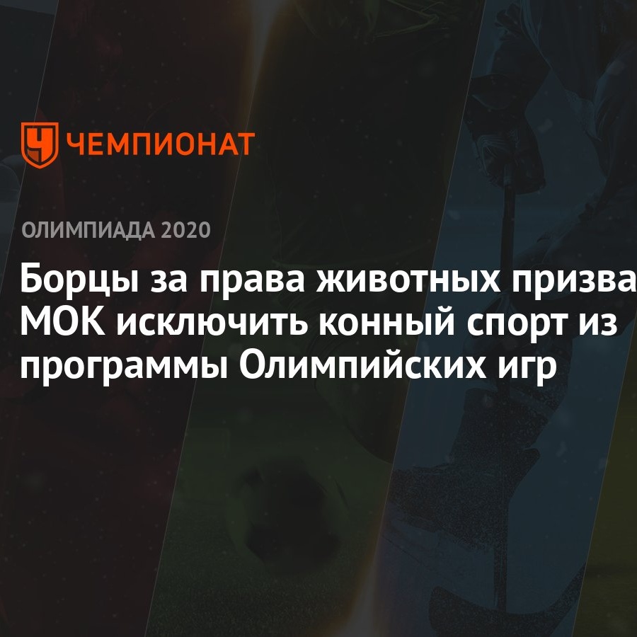 Борцы за права животных призвали МОК исключить конный спорт из программы  Олимпийских игр - Чемпионат