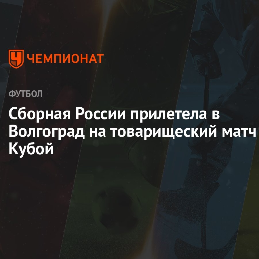 Сборная России прилетела в Волгоград на товарищеский матч с Кубой -  Чемпионат