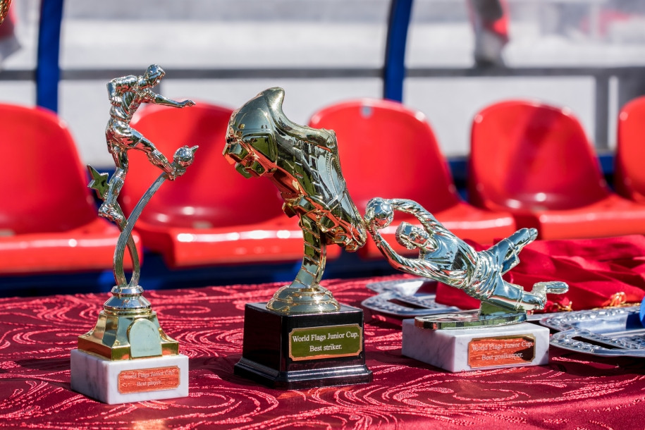 Сборная России стала победителем детского чемпионата мира Сборная России стала победителем детского чемпионата мира