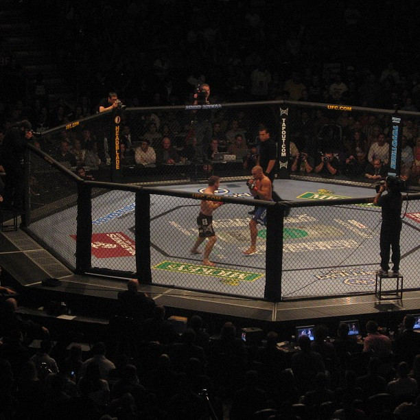 Мэтт Хьюз и Жорж Сен-Пьер на UFC 65