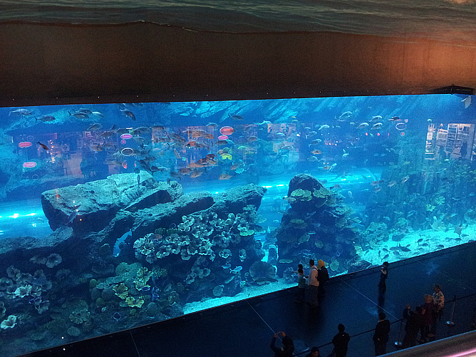 Аквариум в Dubai Mall Аквариум в Dubai Mall