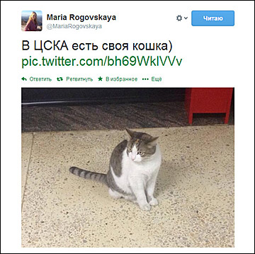 Твиттер Марии Роговской Твиттер Марии Роговской