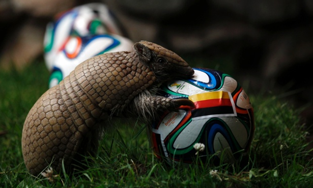 Источник — @guardian_sport Источник — @guardian_sport