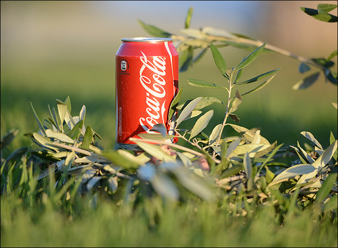 Coca-Cola — представляющий партнёр эстафеты олимпийского огня Coca-Cola — представляющий партнёр эстафеты олимпийского огня