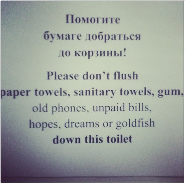 Источник — instagram.com/vstognienko Источник — instagram.com/vstognienko