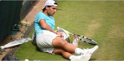 Источник — @Wimbledon Источник — @Wimbledon